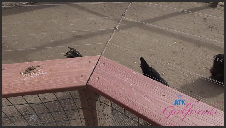 atkgirlfriends 15 02 2023 britt blair farm date 1