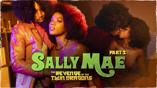 adulttime 22 10 24 ana foxxx – sally mae the revenge of the twin dragons part 2