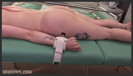 hucows 24 10 12 jasmine james the new massage table