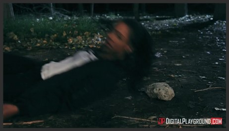 You Will Regret This Digital Playground