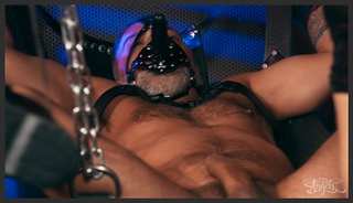 transangels 25 04 18 zariah aura obey me hotel femdom