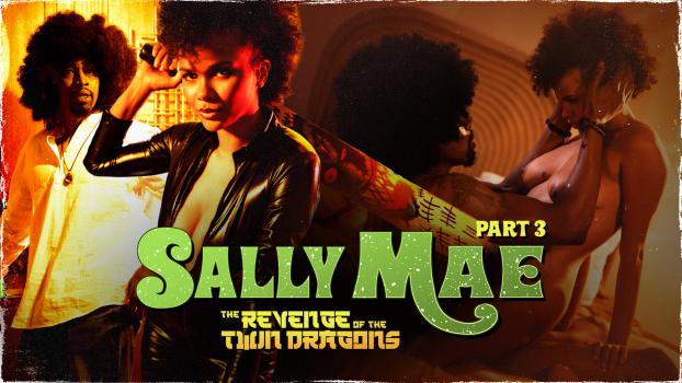 adulttime 2022 10 31 alina ali – sally mae the revenge of the twin dragons part 3