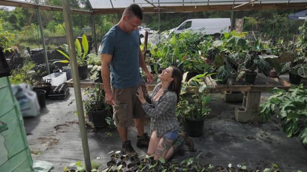 rkprime 22 04 19 katie kingerie – getting banged in the greenhouse