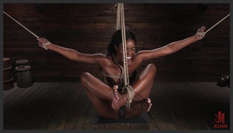 hogtied 24 04 22 ana foxxx