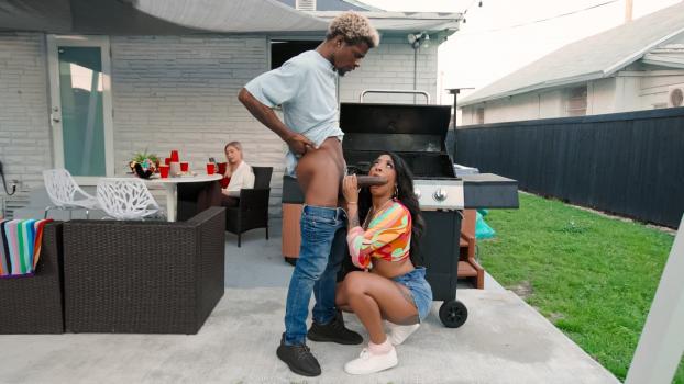 sneakysex 02 03 2023 india lordhefner spring fling bbq