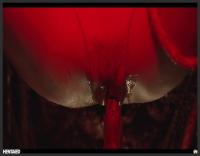 23 11 17 rikako katayama gelatinous odyssey