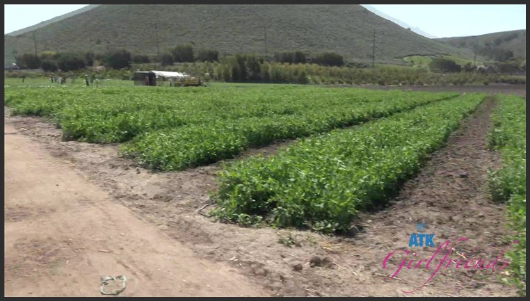 atkgirlfriends 22 04 20 kourtney rae farm date 1