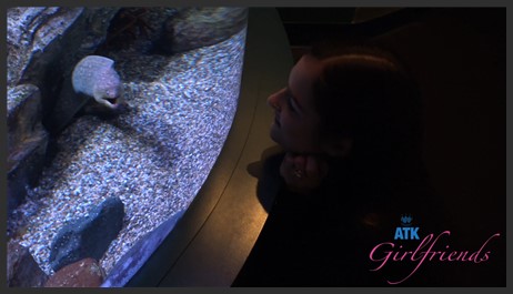 atkgirlfriends 25 02 06 violet viper aquarium 1
