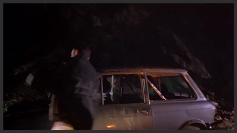 la donna lupo 1999