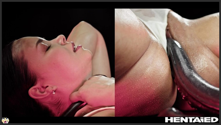 hentaied – sofia lee – a bbw experience