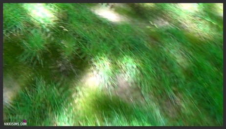 20 01 26 woods walk full