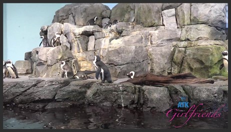 atkgirlfriends 24 08 03 serena hill norcal 7