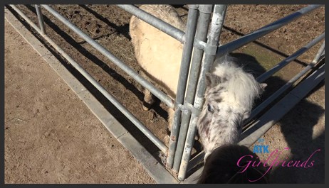 atkgirlfriends 24 03 03 macy meadows temecula 3
