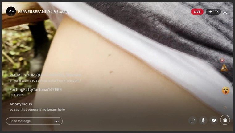 perversefamilylive 022 orgy with pregnant
