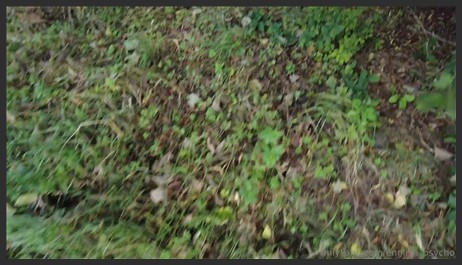 23 09 13 english psycho ts lily adick gets wood in the woods
