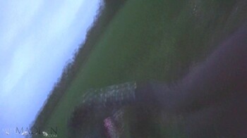 meetmadden 19 05 15 3 girls in a field xxx 1080p mp4 lewd