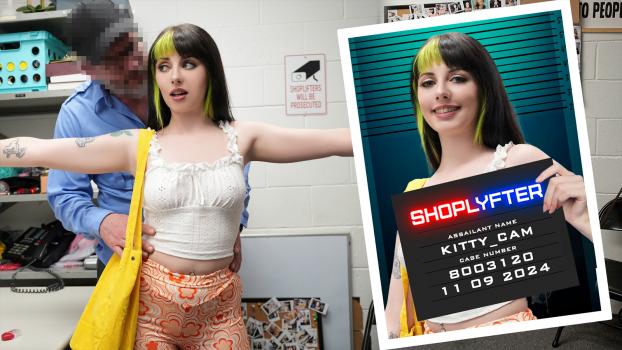 shoplyfter 24 11 09 kitty cam case no. 8003120: the artist in distress