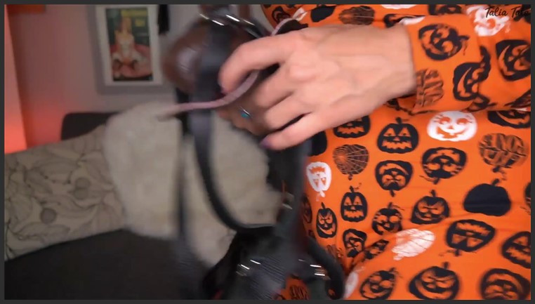 talia tate – jack o lantern jerk off