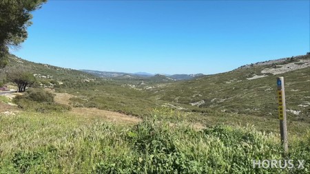 HorusX Gorgeous and Horny Joy Fucks in the Car Than on the Couch