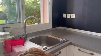 JacquieEtMichelTV 25 06 26 Pandora 28 Years Old Adopted By Marseille XXX 1080p MP4 P2P