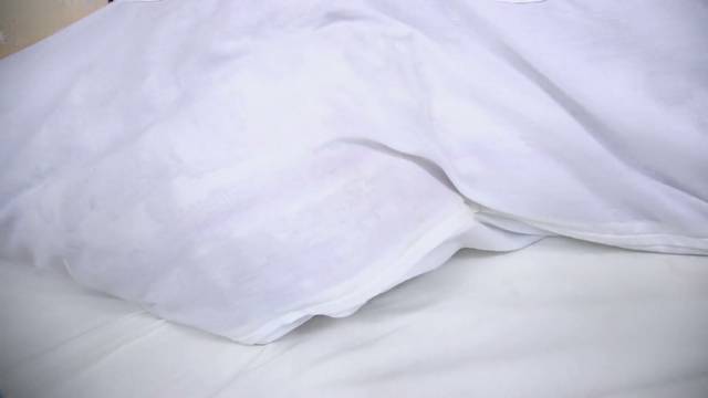 Eri Saeki Browjob and SEX in the Futon (14 02 2026)