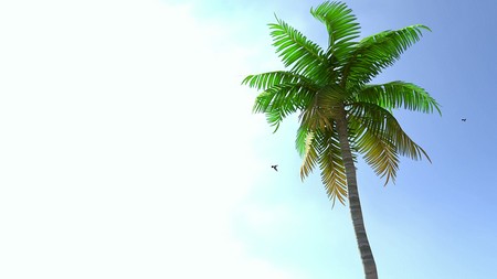 Aunt Cass The Beach Episode