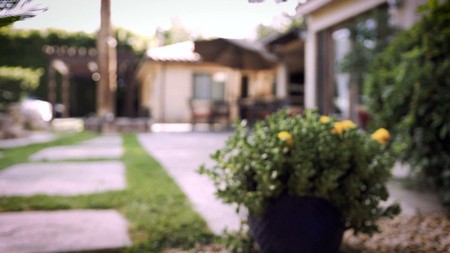 21 11 25 rachael cavalli a missa xmas part 1