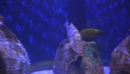 Sophia Leone Sarasota Scene 2 2016