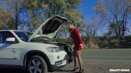 RealityKings AAA Dick