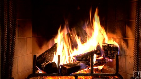 NFBusty Home For Christmas