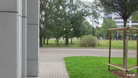 25 11 10 Lexi BTS POLISH