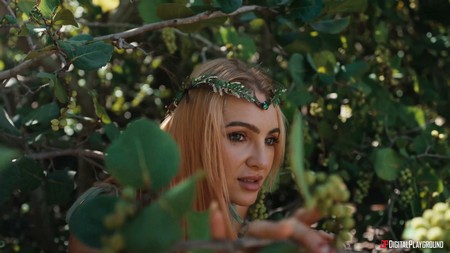 DigitalPlayground 25 12 11 Little Dragon A Survivors Paradise