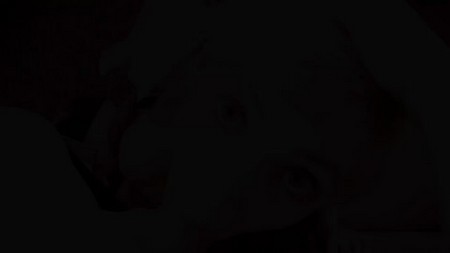 Trained and Controlled