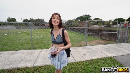 BangBus 2024 01 24 Shrooms Blooms on the BangBus