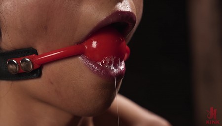 DungeonSex 25 10 31 Harley Haze